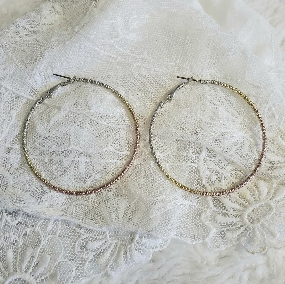 𝅺OMBRE Hoop Earrings